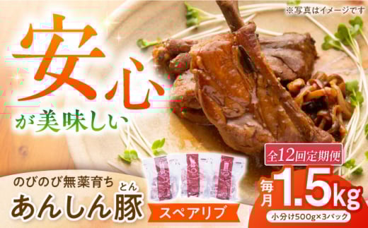 【12回定期便】あんしん豚 スペアリブ 1.5kg 豚肉 小分け 国産 白川町 / 藤井ファーム [AWAF018]