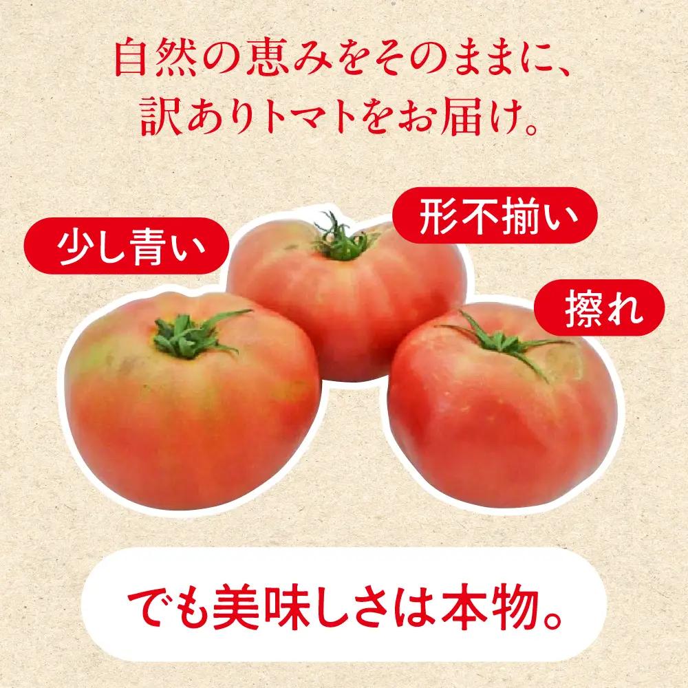 【ふるなびWEEK対象】（訳あり）甘熟トマト麗月 2Ｌ～3Ｌ 大サイズ 4kg以上 【119-5fw】