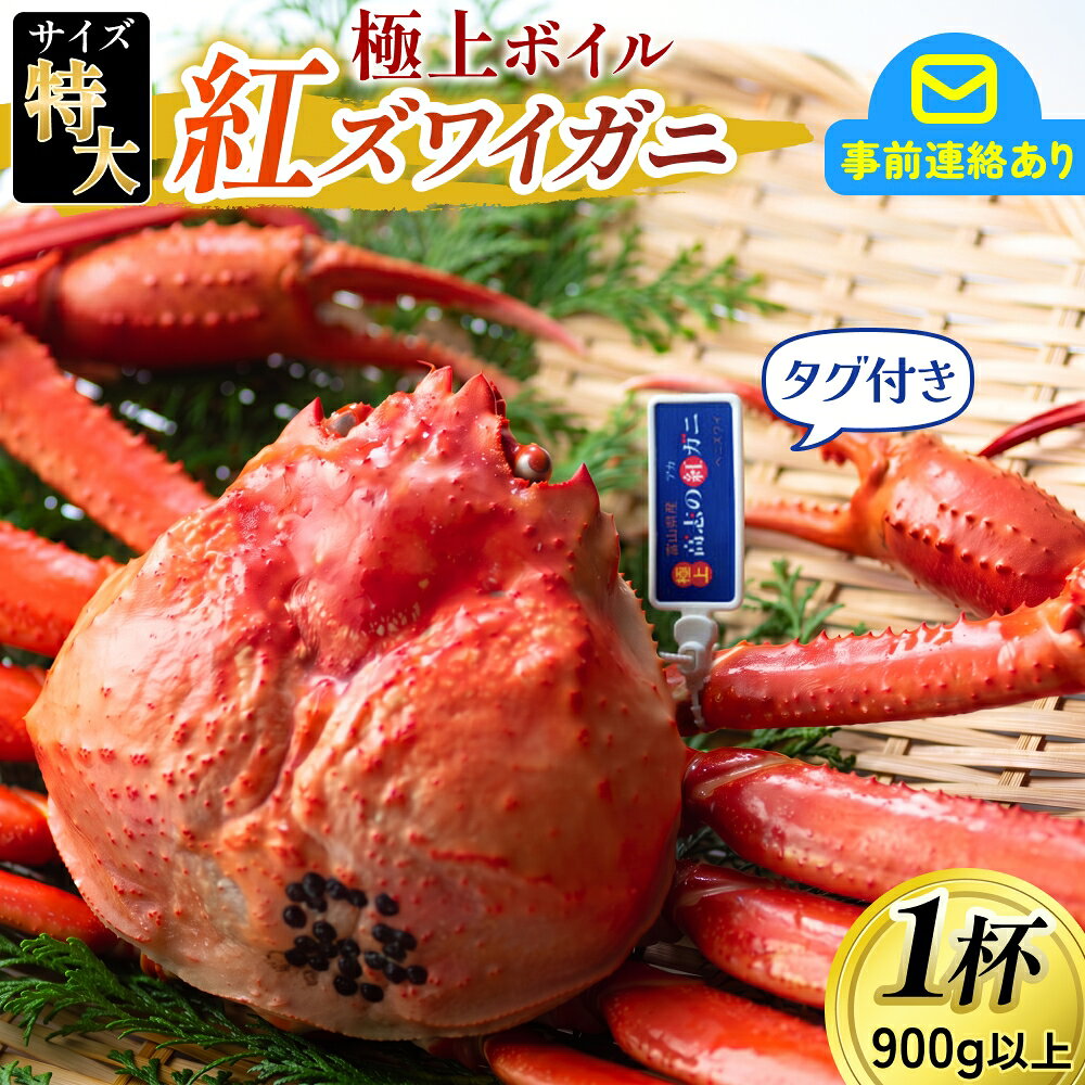 【ふるさと納税】【先行予約】タグ付き極上ボイル紅ズワイガニ 【26年度10月以降順次配送】 / 紅ずわいがに カニ 冷蔵 チルド 高志の紅ガニ 北陸 ブランド蟹 お祝い プレゼント ゆで蟹 焼きがに ギフト 富山県 国産
