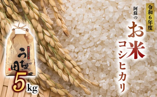 令和6年度産　内田農場の新米　コシヒカリ 5kg×1袋 白米