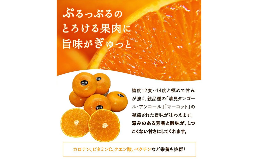 せとか約2kg