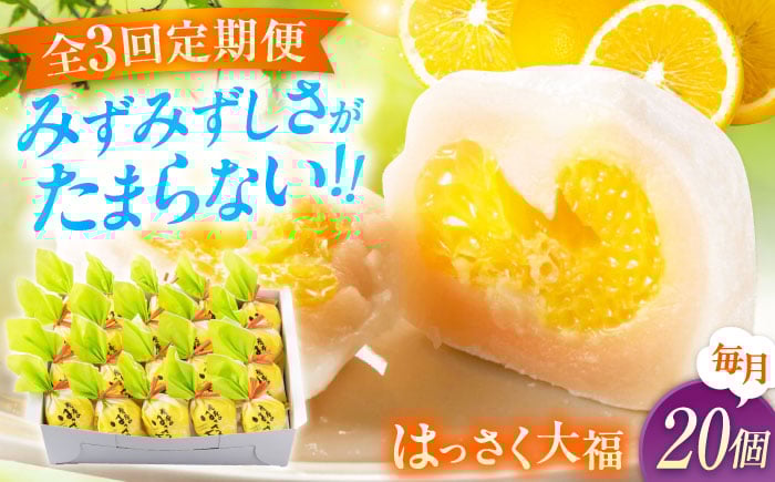 
            【ふるさと納税】【全3回定期便】お菓子 はっさく大福20個入　 お菓子 大福 八朔 柑橘 みかん オレンジ 餅 ギフト お取り寄せ スイーツ フルーツ大福 ご当地 菓子 おかし デザート 食品 人気 おすすめ 広島県福山市/株式会社虎屋本舗[BADH030]
          