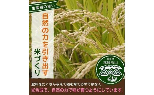 【令和7年度産 新米】飛騨産こしひかり さとう特選米 10kg | 美味しい コシヒカリ 減農薬栽培 米 お米 白米 精米 飛騨高山 ファミリーストアさとう 21-542 CY028VC13