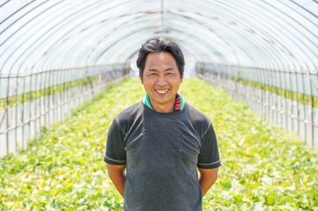 〈予約受付〉2027年発送 予約 中玉すいか 虎太郎西瓜 2玉 夏 風物詩 すいか 甘い すいか2玉 スイカ ジューシー 鈴良農園 愛知県 碧南市 送料無料 H141-016
