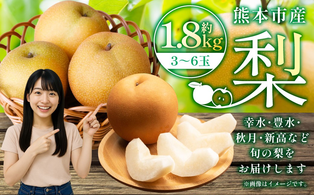 
                  熊本市産 梨 （幸水・豊水・秋月・新高など） 約1.8kg （3～6玉）【2026年8月下旬～10月上旬迄発送予定】
                