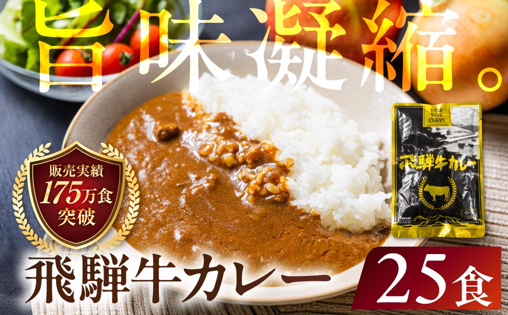 
                  飛騨牛カレー (25袋) | 常温配送 訳あり 飛騨牛 肉 牛 カレー ビーフカレー 簡易包装 レトルトカレー ご当地カレー 人気 おすすめ 発送時期が選べる 便利 飛騨高山 ふるさと清見 DC008VP
                