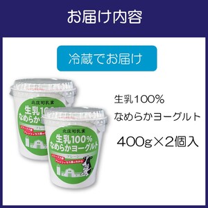 生乳100％なめらかヨーグルト 2個入り【配送不可地域：北海道・沖縄・離島】【113E-001】