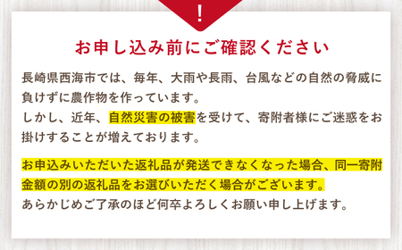 いちご 【先行予約】【 訳あり 】 ゆめのか いちご 約3kg（250g×12パック） 長崎 西海 イチゴ いちご 苺 ゆめのか いちご 訳あり 家庭用   ＜川原農園＞ [CDR006]