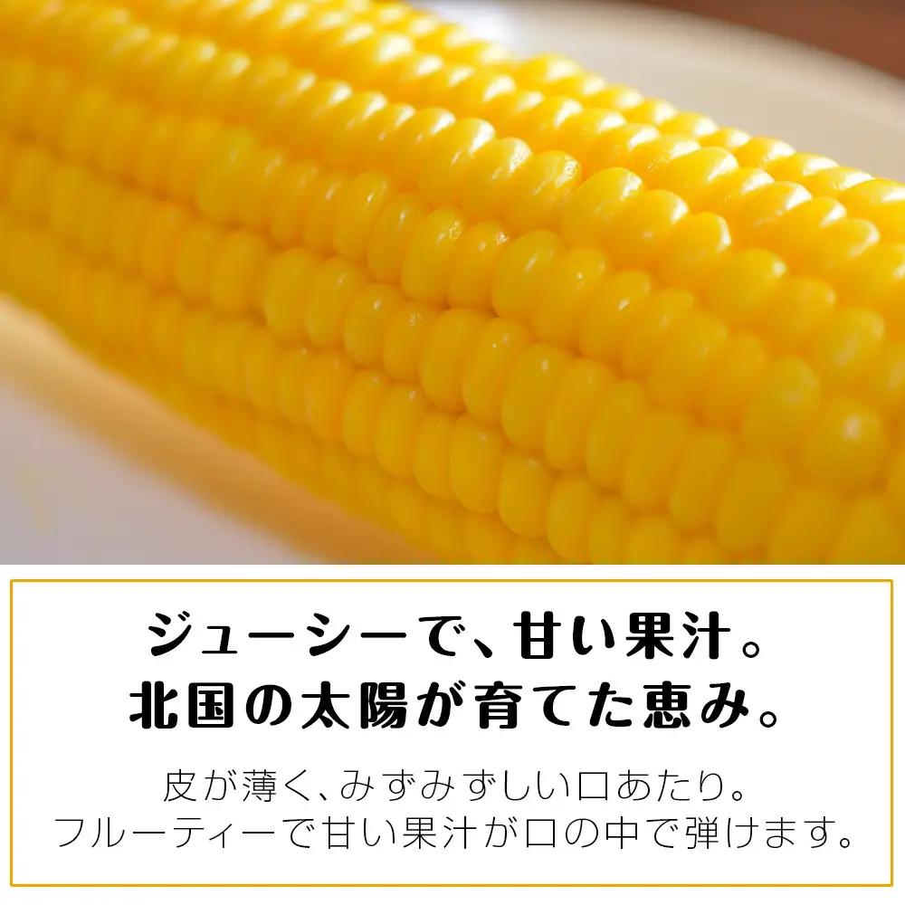 【先行予約】北海道 千歳産 とうもろこし 1本430ｇ以上 10本 恵味シリーズの中からおまかせで1種類  ＜ふぁーむあんざわ＞