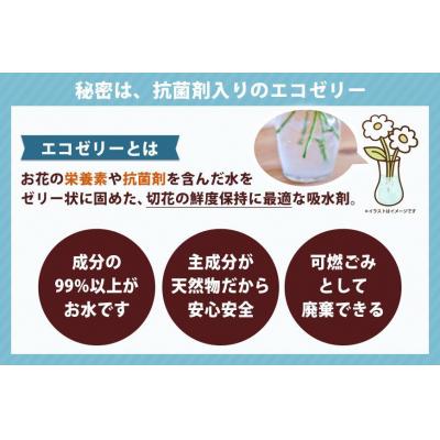 ふるさと納税 徳島市 【水換え・花瓶のいらない花束】そのままブーケ 和風ver　スタンディングブーケ【FP001】 |  | 02