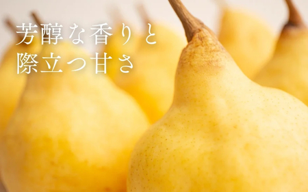 【2025年先行予約】新潟特産 幻の洋梨ル・レクチェ 家庭用 約4kg（8?12玉） 《11月下旬以降順次発送》 令和5年新潟県ル・レクチェ果実品評会「県知事賞」 果物 フルーツ 冬の味覚 産地直送 