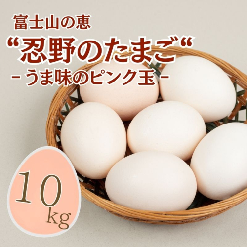 富士山の恵“忍野のたまご“‐うま味のピンク玉‐10kg