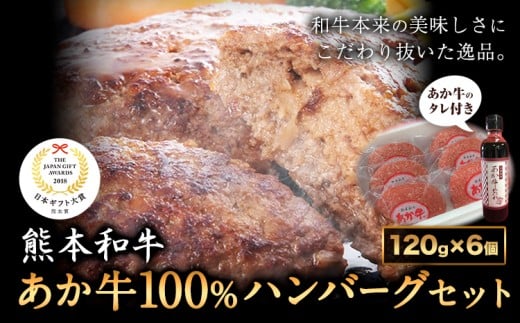 あか牛100％ハンバーグセット(あか牛ハンバーグ約120g×6個、あか牛のたれ200ml付き)《30日以内に出荷予定(土日祝除く)》