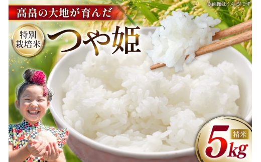 令和7年産 特別栽培米 つや姫 5kg [石川重蔵商店 山形県 高畠町 tk06bcz280002] 精米 白米 米 お米 ブランド米 ごはん ご飯