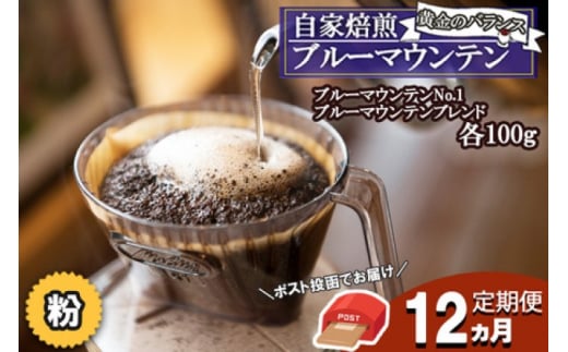 定期便 12ヶ月 珈琲の王様 ブルーマウンテン NO.1＆ ブルーマウンテンブレンド (粉) 各100g ポスト投函 珈琲 コーヒー 12回 お楽しみ Morrow珈琲
