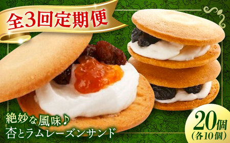 【全3回定期便】お菓子  杏とラムレーズンサンド 10個入り×2　お菓子 あんず おやつ 菓子 お茶 レーズン スイーツ 広島県福山市/有限会社勉強堂[BAFL019]