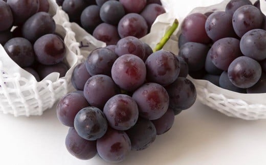 6月に食べられるぶどうピオーネ3～5房（約2kg）