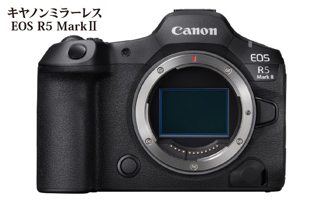 
            【Canon】ミラーレスカメラ EOS R5 Mark Ⅱ・ボディー CANON キヤノン キャノン カメラ R5 MarkⅡ 高速連続撮影 高画質 AF性能 デュアルピクセル 動画 保証 静止画 手ぶれ補正 大分市 大分工場 R16001
          