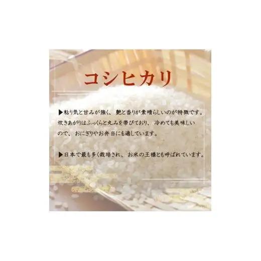 【令和8年産 新米】コシヒカリ10kg  新米