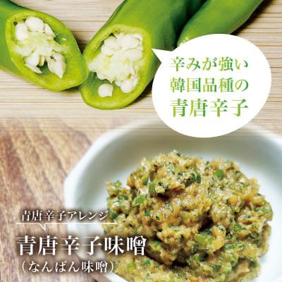 ふるさと納税 宮城県 【宮城県産】生青唐辛子 龍の尾 1kgセット(500g×2袋)激辛韓国品種 西根の森|太良衛門 |  | 02