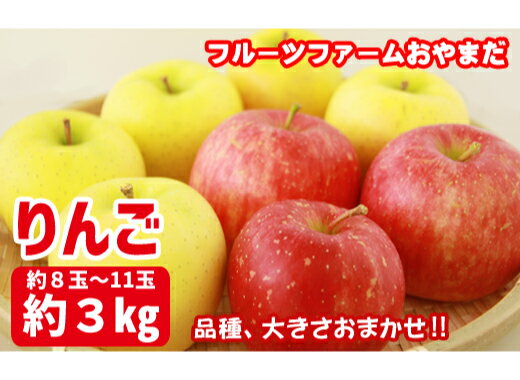 【ふるさと納税】 岩手県産 家庭用 りんご 3kg おすすめ リンゴ 林檎 3キロ 品種と大きさおまかせ！ 約8玉～11玉 アップル 果物 採れたて 新鮮 旬 産地直送 冬の味覚 農園 生食 加工 製菓 アップルパイ コンポート 【フルーツファームおやまだ】 岩手県 滝沢市 送料無料