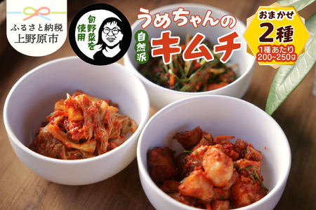 旬野菜で作るうめちゃんの自然派キムチ　おまかせ２種