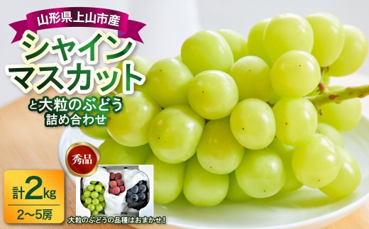 シャインマスカットと大粒ぶどうの詰合せ（品種おまかせ）２ｋｇ　0017-2609