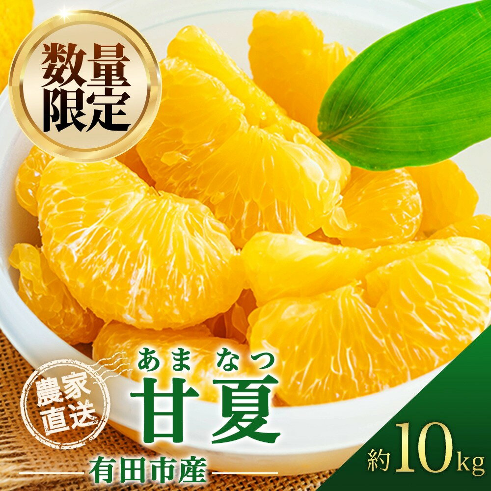 【ふるさと納税】甘夏 あまなつ 10kg 夏みかん 柑橘 酸味 甘み バランス フルーツ 果物 くだもの みかん 人気 おすすめ 送料無料 国産 和歌山 有田市（A144-1）