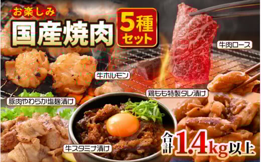 国産 お楽しみ 焼肉セット 合計1.4kg以上【牛肉ロース 味付け肉 牛ホルモン 豚肉 鶏肉 小分け 便利 BBQセット】 [e03-b004]