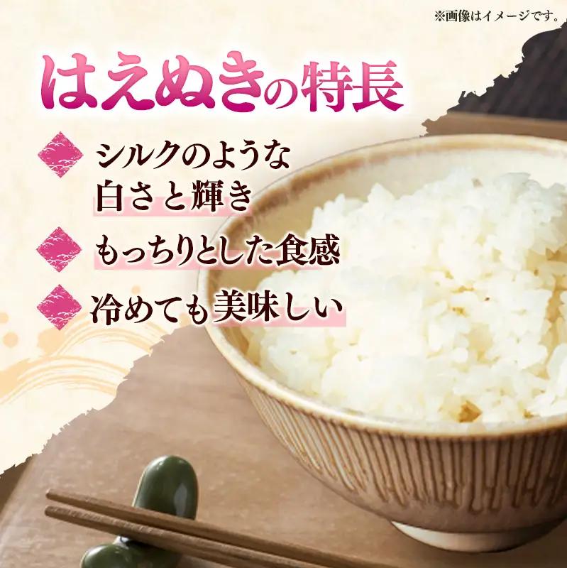 至福の味わい、幸せ米 はえぬき10kg - R8年産新米予約 白米 米 ごはん 山形県 飯豊町産