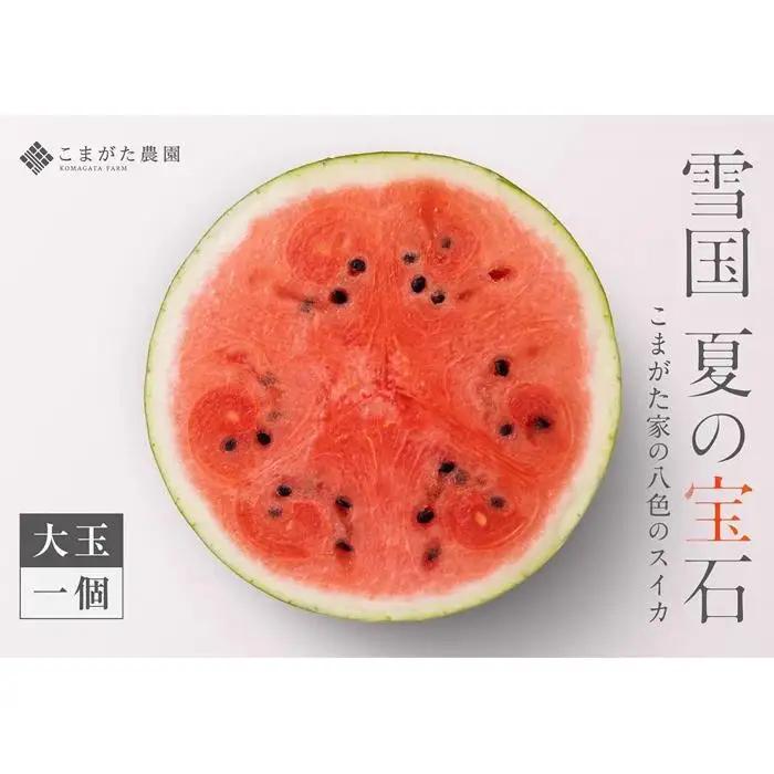 【2026年7月下旬〜8月上旬順次発送予定】高級南魚沼八色産スイカ「こまがた家の八色のスイカ」プレミアム大玉 1玉【西瓜 スイカ すいか 大玉 季節限定 果物 フルーツ ギフト 名産地 産地直送 シャキシャキ 厳選 デザート 新潟県】