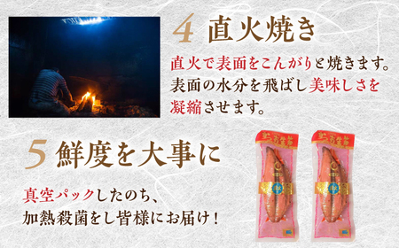 鰹生節　2パック | 食べやすい カツオ なまぶし 竹内商店