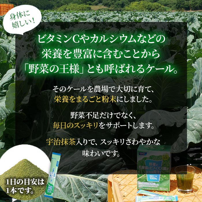 ＜【3回定期便】野菜と乳酸菌とビフィズス菌がとれる青汁＞ ケール 粉末 すっきり 契約農家 健康 濃縮野菜 無添加 ミネラル農法 化学農薬不使用 青汁 飲料 野菜不足解消 グリーンヒル ファンケル F