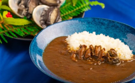 和歌山のアワビ屋さんがつくったあわびカレー 【170g×3袋】【riz305】