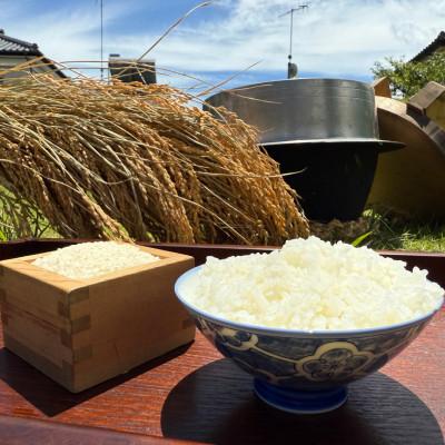 ふるさと納税 多古町 多古米セレクション　大木茂秀さんの多古米コシヒカリ　玄米10kg　令和7年産 |  | 01