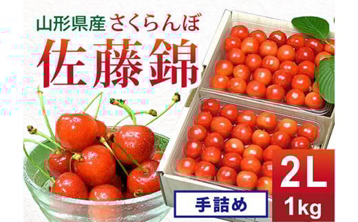 《先行予約 2025年度発送》さくらんぼ【佐藤錦】2L手詰め1kg FSY-0152