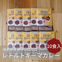 【ふるさと納税】徳島県産食材ゴロゴロキーマカレー　10食入り【1477627】