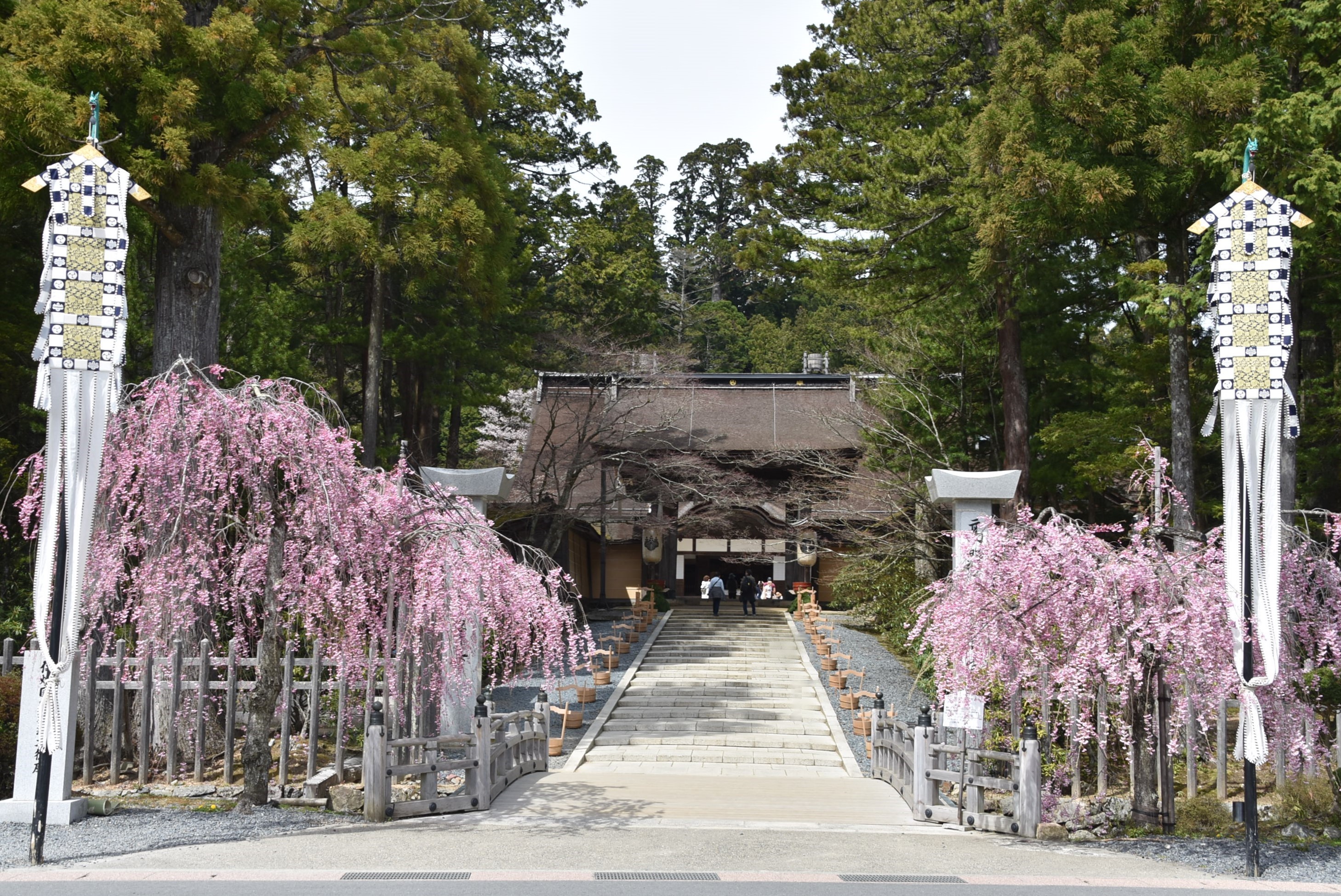和歌山県高野町ANAトラベラーズホテル割引クーポン30,000点