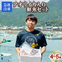 【ふるさと納税】 急速冷凍！アオリイカ入り鮮魚セット（4～5種）