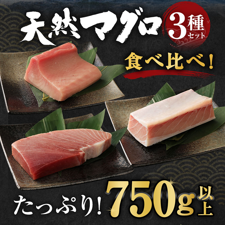 厳選 天然 マグロ ３種 セット【 ミナミ鮪 メバチ鮪 ビンチョウ鮪】７５０ｇ以上 南マグロ メバチマグロ ビンチョウマグロ 冷凍 海鮮 丼_イメージ3
