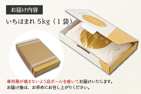 【令和5年産】いちほまれ 精米 5kg 《ギフトにもおすすめ！化粧箱入り》／ 福井県産 ブランド米 白米 贈り物 お取り寄せ