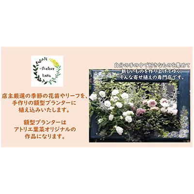 ふるさと納税 寝屋川市 flower frame |  | 01