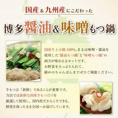 Y69-09 おどろきっちん もつ鍋2種セット(醤油・味噌) 各2～3人前 もつ鍋