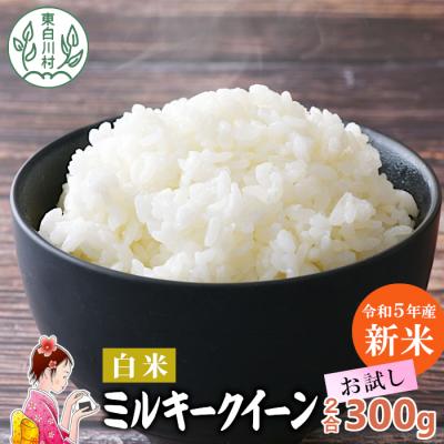 ふるさと納税 東白川村 東白川村産 ミルキークイーン 白米 お試し 2合 300g