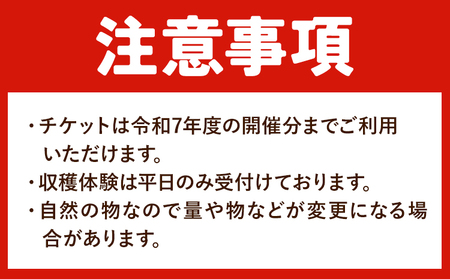 収穫体験 チケット さつまいも掘り 約1kgお持ち帰り 有限会社水野果樹園《90日以内に出荷予定(土日祝除く)》千葉県 流山市 収穫 体験 サツマイモ 体験 野菜