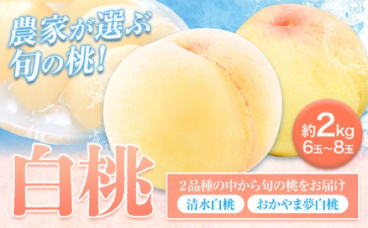 
            桃 もも 岡山 約2kg 6～8玉 白桃 岡山県産 岡山の桃 おかやま夢白桃 清水白桃 おまかせ ブランド桃 旬 果物 フルーツ 甘い《7月中旬-8月上旬頃出荷》仁科農園
          