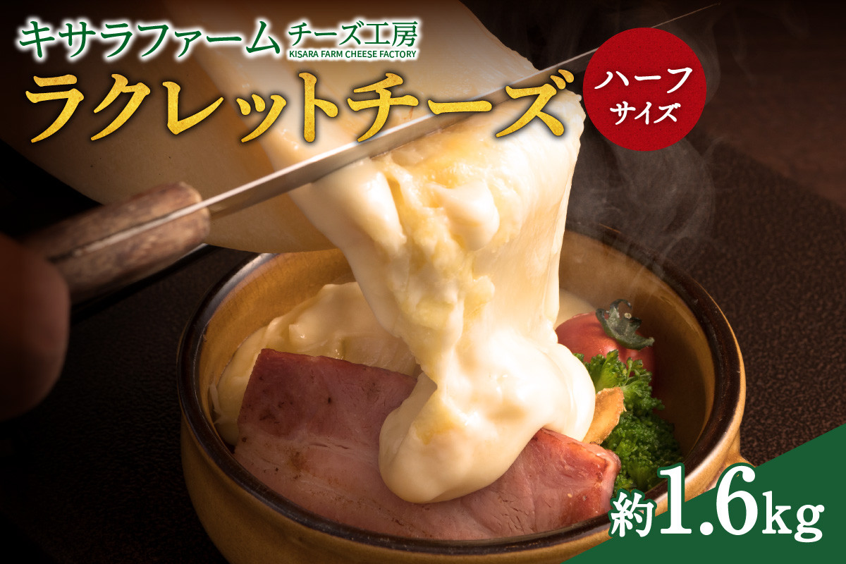
            キサラファームチーズ工房のラクレット チーズハーフサイズ ！ ドリア グラタン パンに乗せて！食べ方様々、ラクレット約1.6㎏をお届け_S002-0005
          