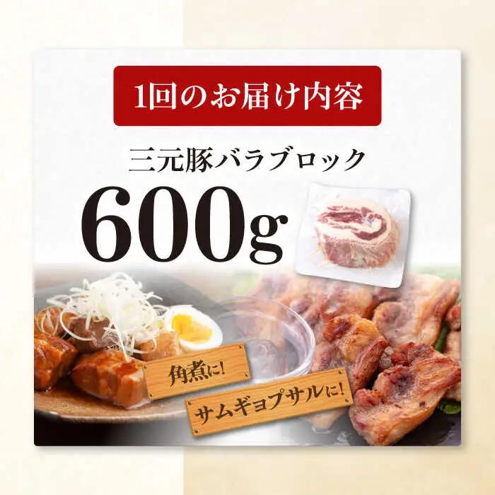 【全3回定期便】平田牧場 バラ ブロック 600g 豚肉 煮豚 [AJAP103]