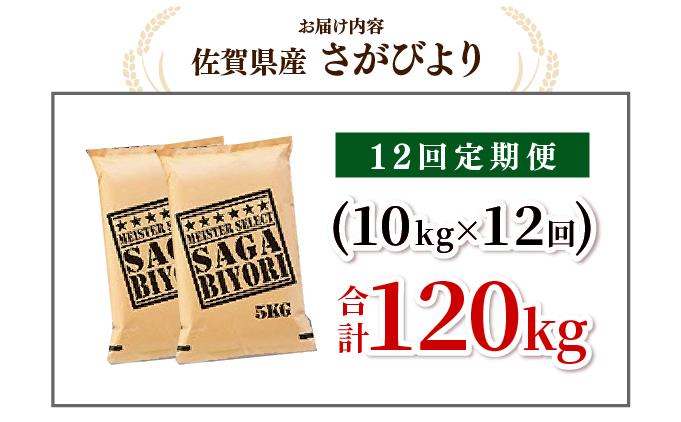 [令和7年産] ＜定期便12回＞ 特A評価 さがびより 白米 10kg×12回 15ob-0011-202506