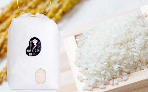 備前乙女米 白米 10kg×2袋（計約20kg）【2026年9月下旬迄発送予定】 ／ お米 米 おこめ こめ コメ ご飯 精米 ライス モチモチ 石原果樹園 岡山県 美咲町